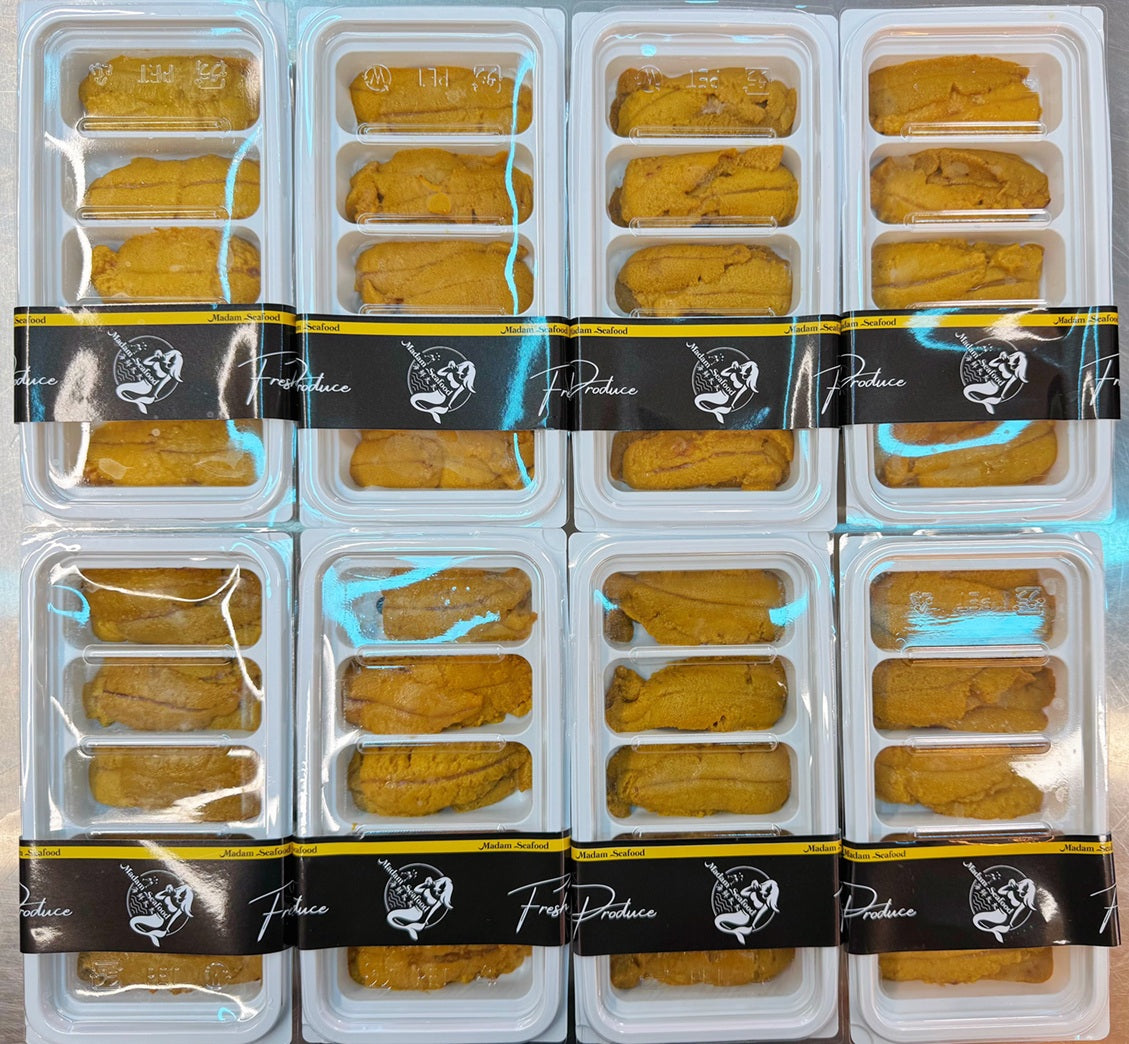 NSW Sea Urchin Long Spine Roe 10A