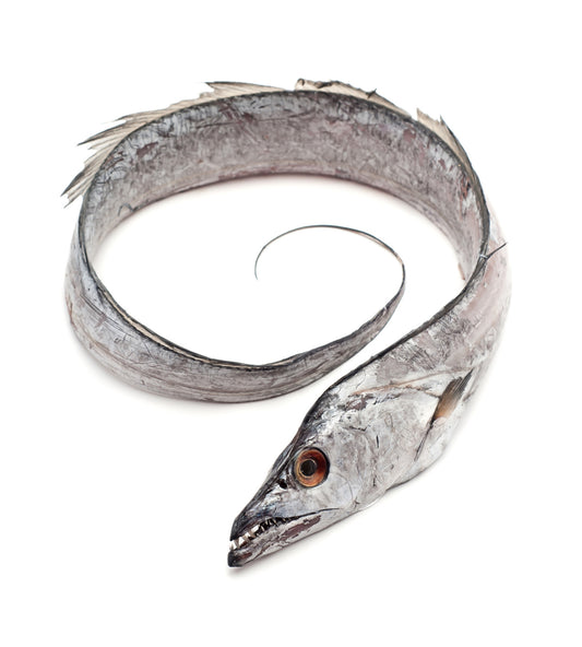 Premium Whole Ribbon Fish