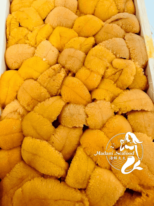 Japanese Premium Sea Urchin