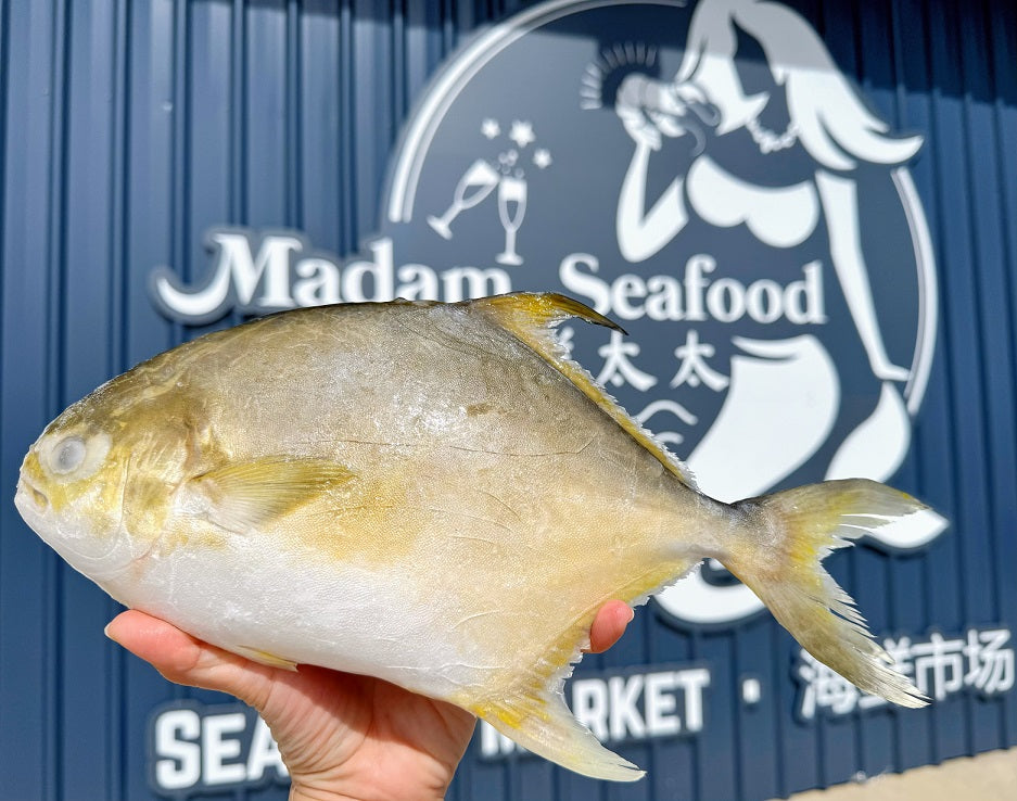 Golden Pomfret β Whole (Frozen)