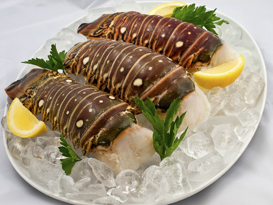 Brazilian Lobster Tail (Frozen)