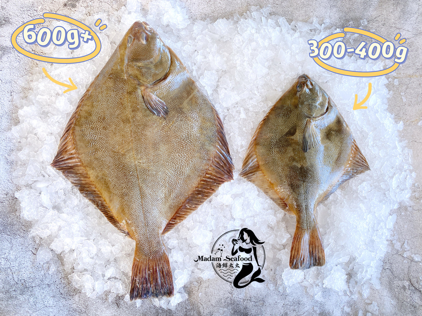 Fresh New Zealand Flounder (Jumbo)