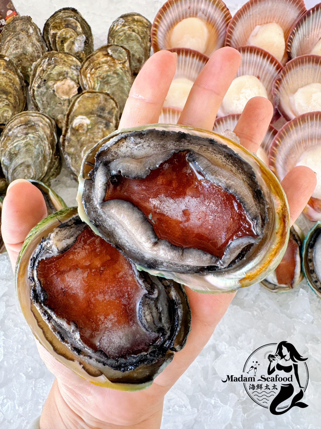 Yumbah Baby Blacklip Abalone (Frozen)