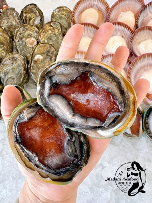Yumbah Baby Blacklip Abalone (Frozen)
