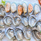 0 - PREORDER -【Christmas/New Year】2025 - Classic Seafood Set