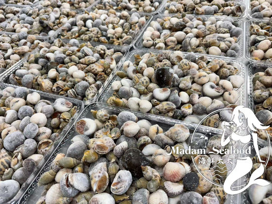 Mixed Sea Snails (Raw) (Frozen)