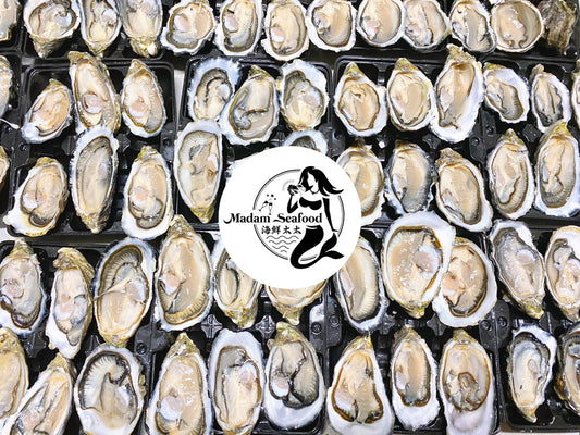 Copy of Fresh SA Pacific Oysters (Plate) (Open)