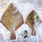 Fresh New Zealand Flounder (Medium)
