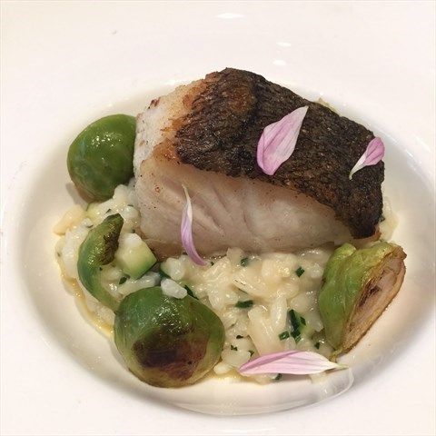 WA Spotted Cod Fillet (Frozen)
