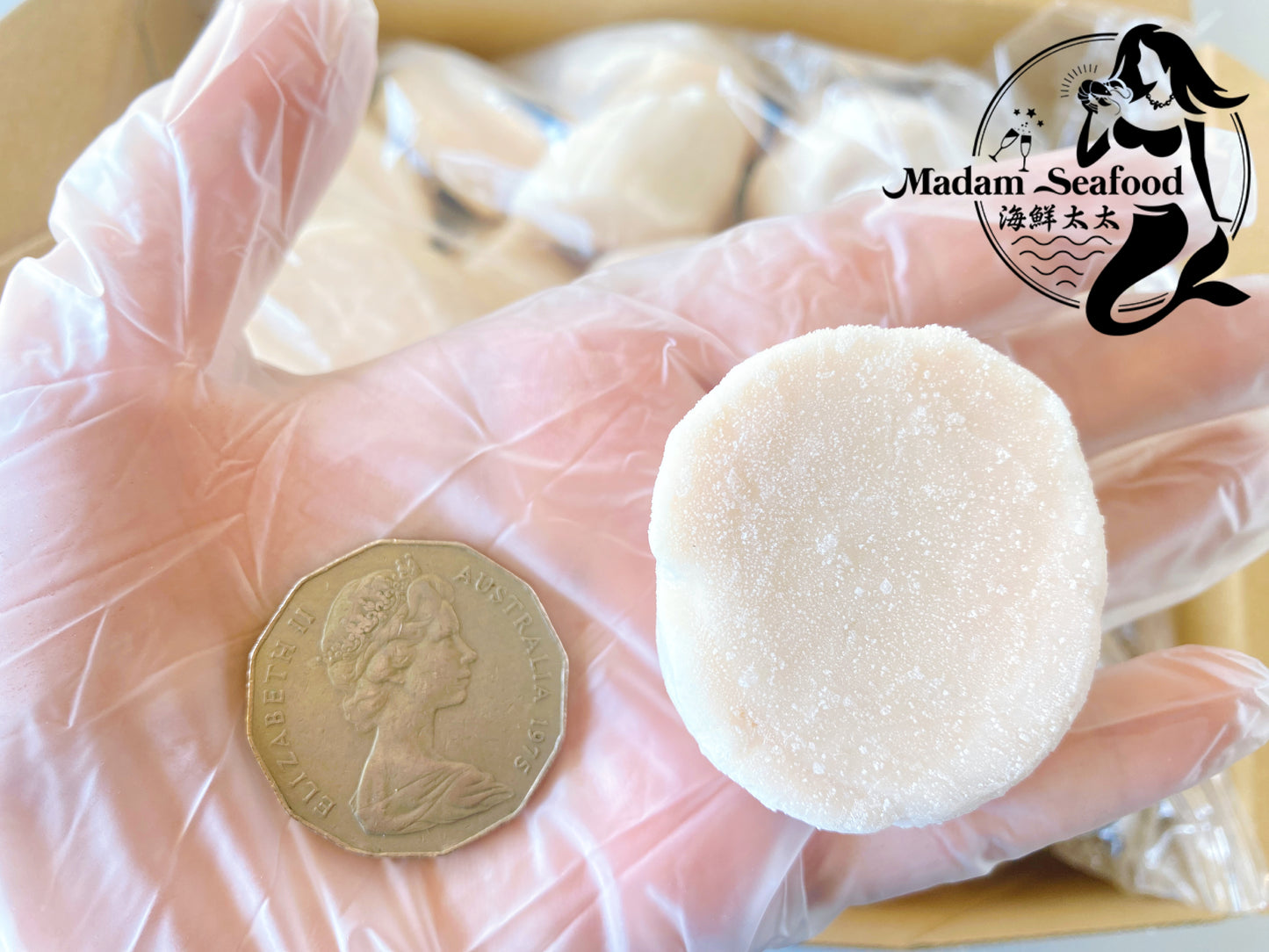 Hokkaido 2S Scallop (MEAT) (frozen)