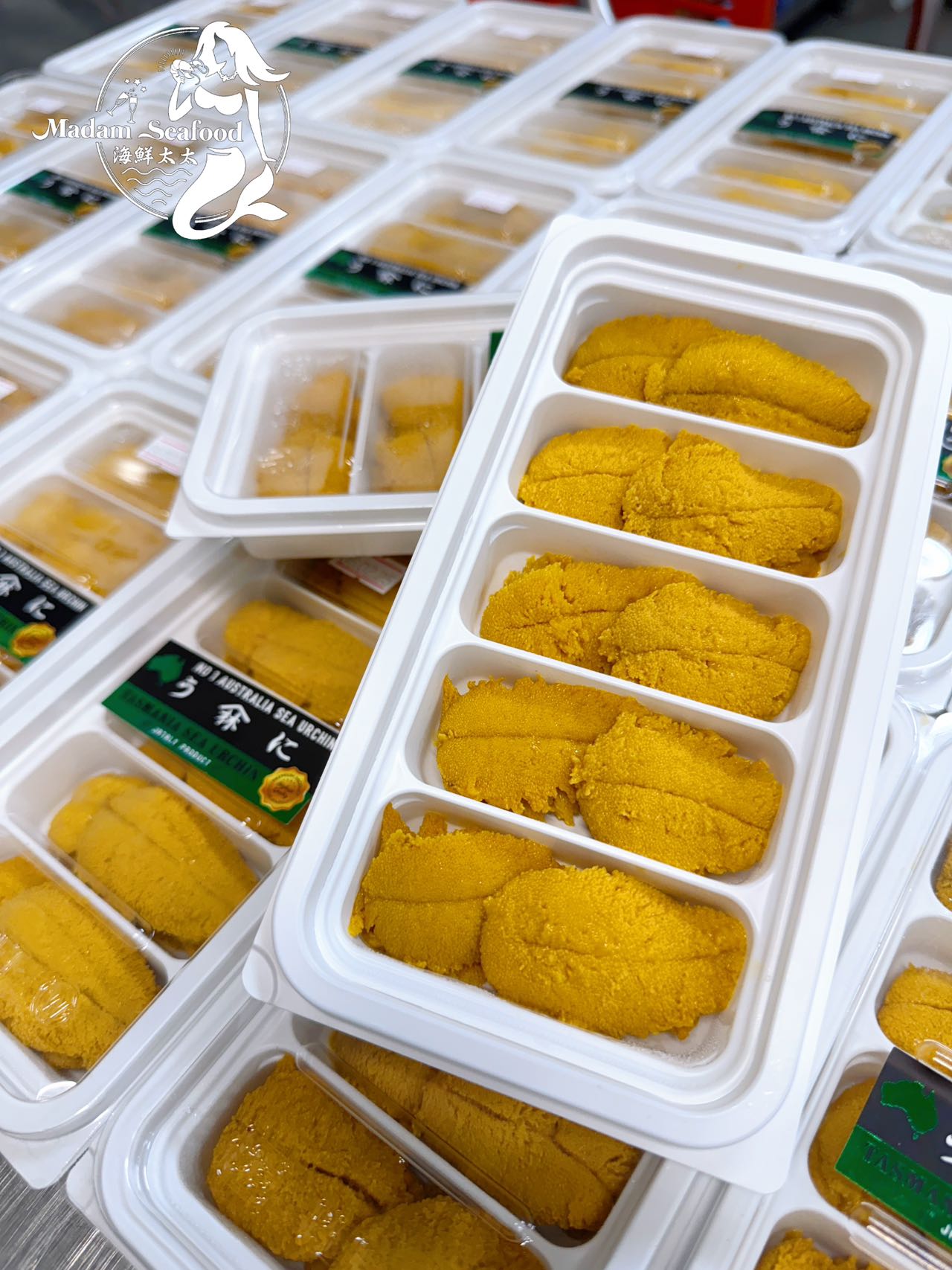 Sea Urchin Long Spine Roe 10A