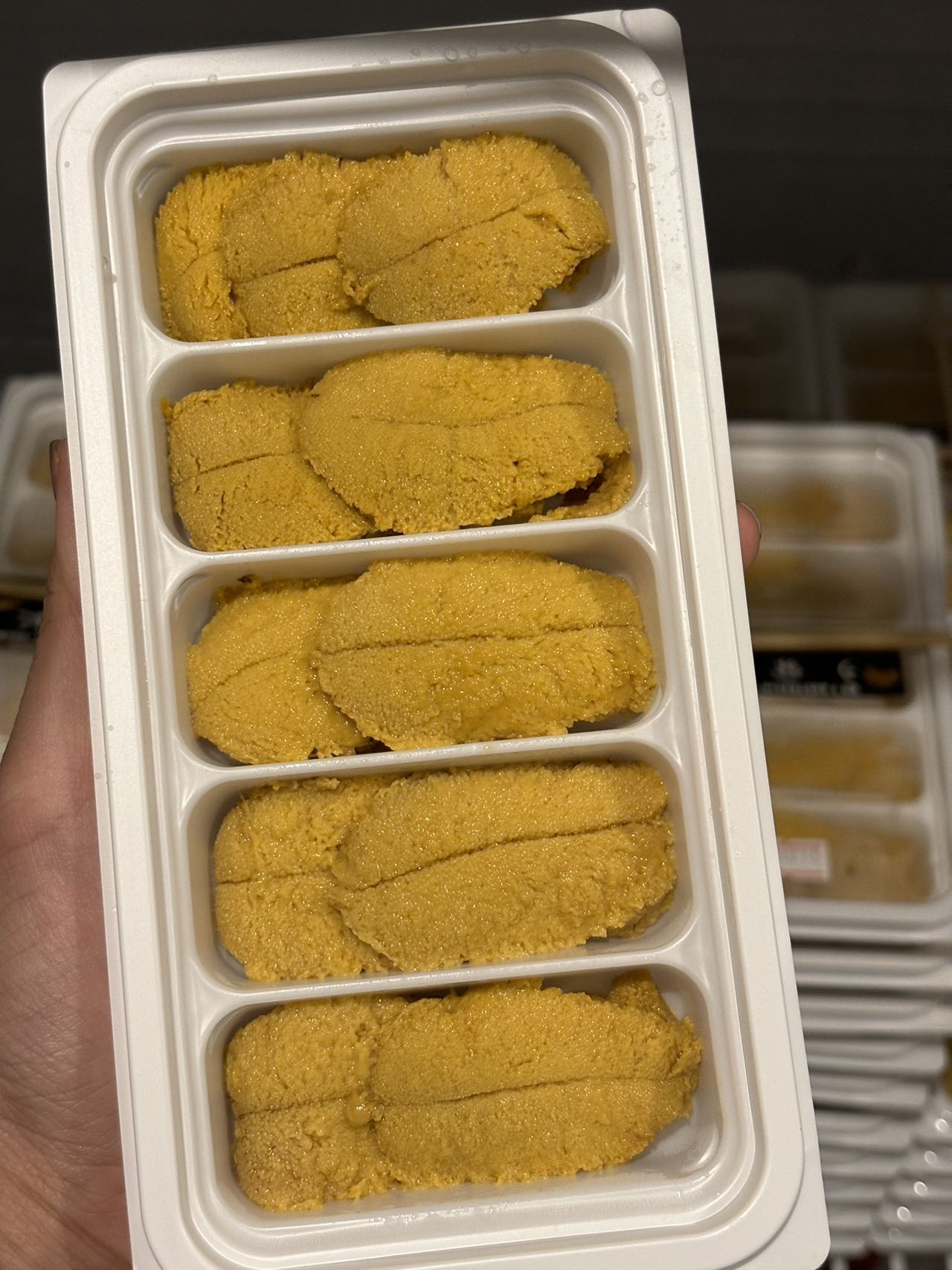 Sea Urchin Long Spine Roe 10A