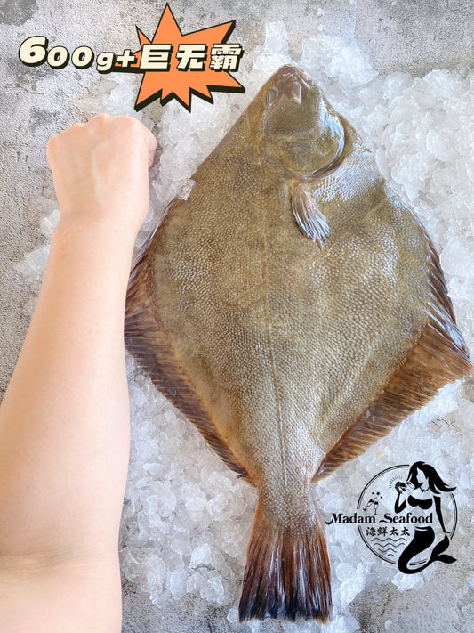 Fresh New Zealand Flounder (Jumbo)