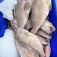 Australian Spotted Cod