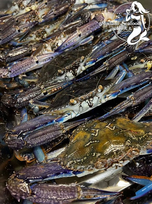 Fresh Local SA Blue Swimmer Crab