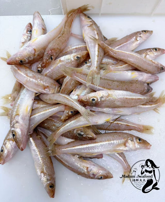 Fresh Tasmania School Whiting (whole)