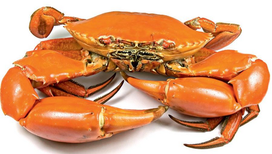 Cooked Mud Crab (Frozen)