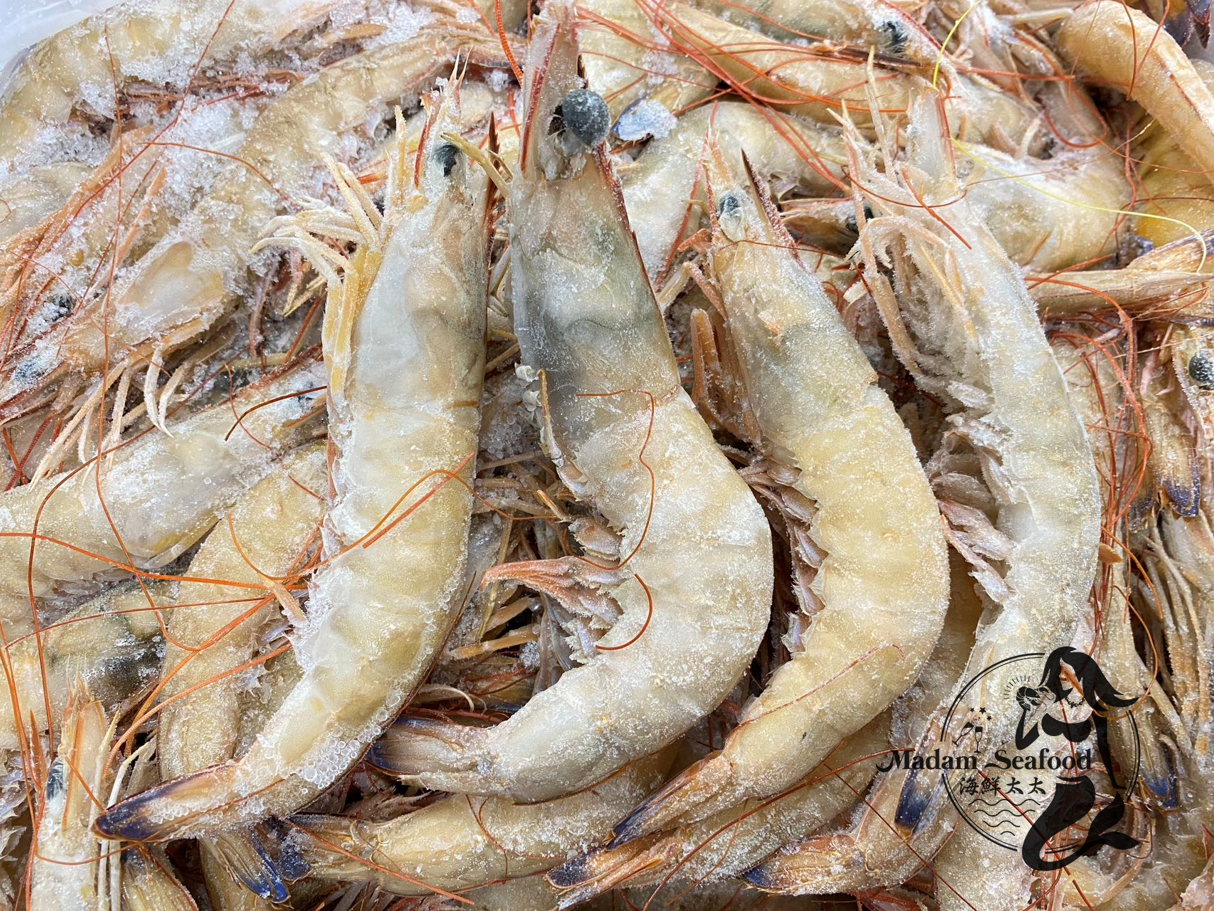 AU Wild Caught Endeavour Prawn【1KG】(Raw) (frozen)
