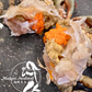 Live Female Mud Crab