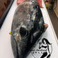 Bluefin Tuna Head 【Friday Only】
