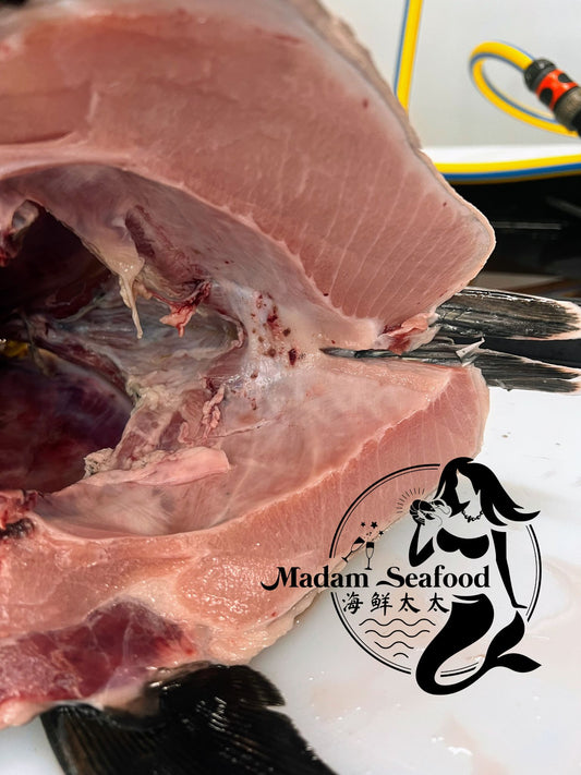 Bluefin Tuna Head