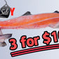 Fresh Atlantic Salmon Head/Off-Cuts【MEGA SALE】