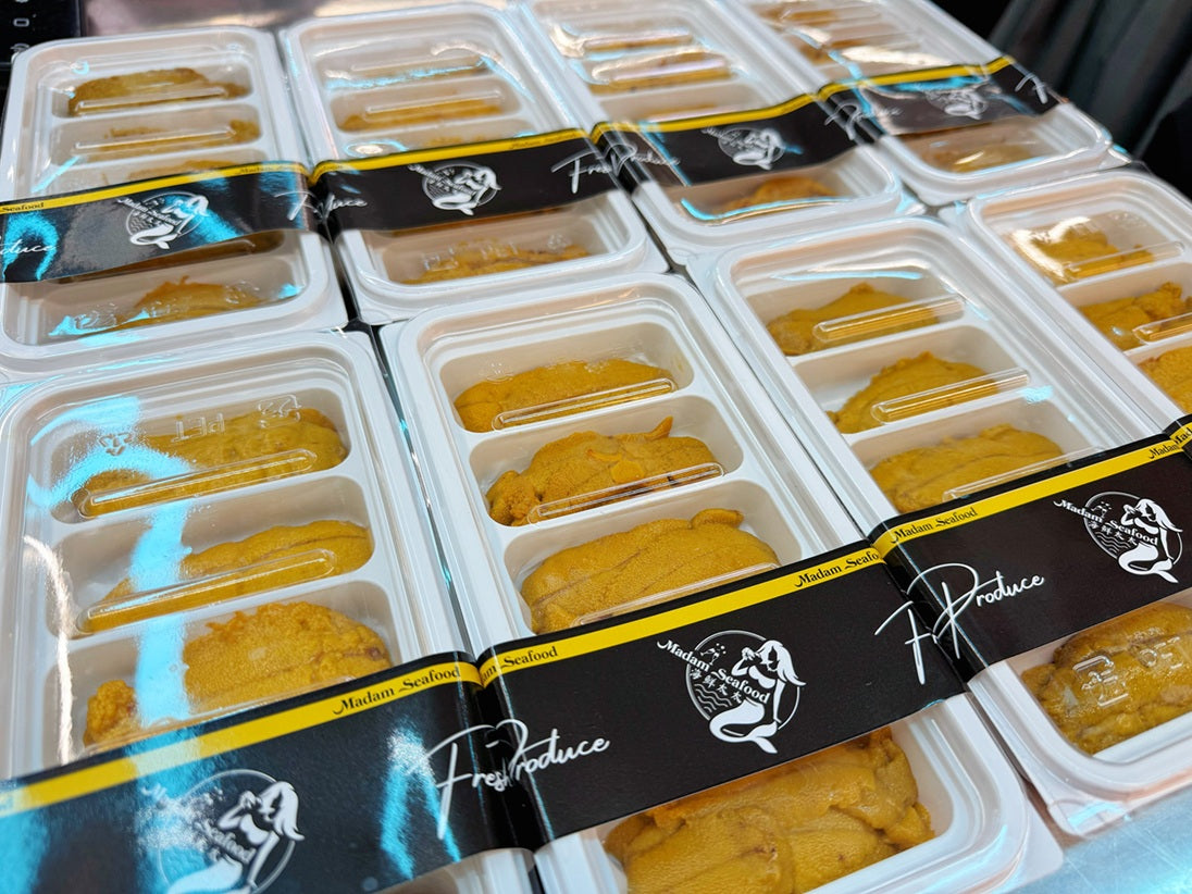 NSW Sea Urchin Long Spine Roe 10A