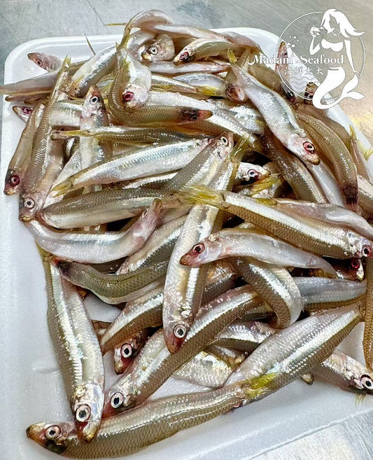 Fresh Whitebait