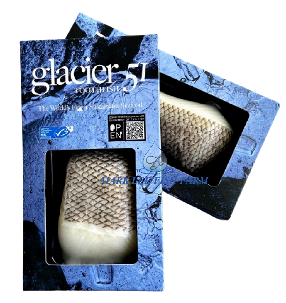 51 Fish G51 Toothfish 150g Portion-Pack (frozen) – Madam Seafood