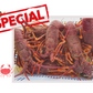 Live Southern Rock Lobster (1000g-1500g)