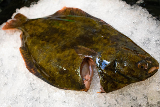 Fresh New Zealand Flounder (Jumbo)