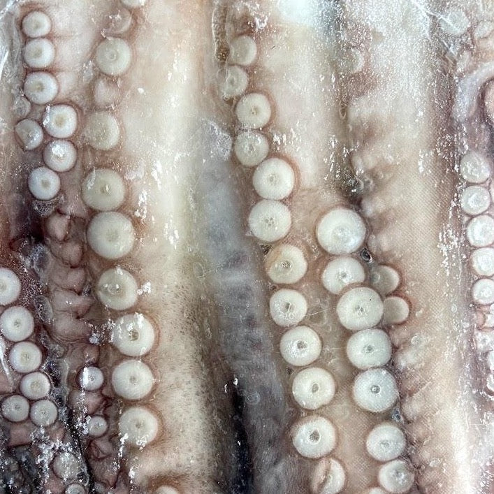 Western Australia Octopus Legs (frozen)