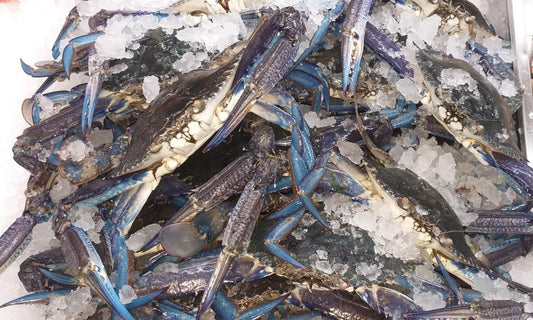 Fresh Local SA Blue Swimmer Crab