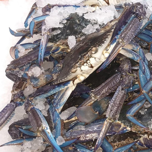Local SA Blue Swimmer Crab (frozen)
