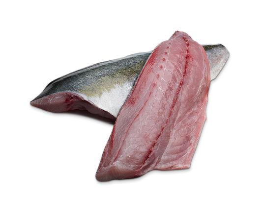 Fresh sashimi grade Kingfish Fillet (Skin-Off)