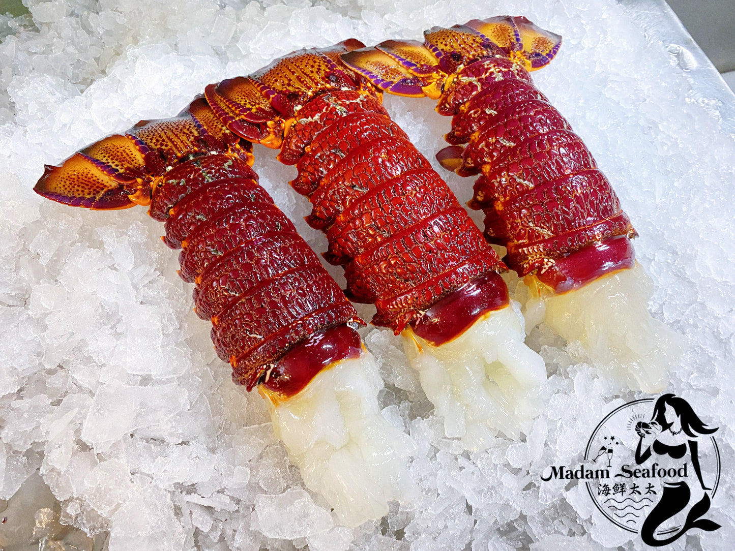 Southern Rock Lobster Tail (Frozen)