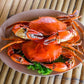 Live Darwin Mud Crab A Grade