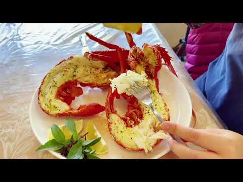 Live Southern Rock Lobster (2500g-3500g)