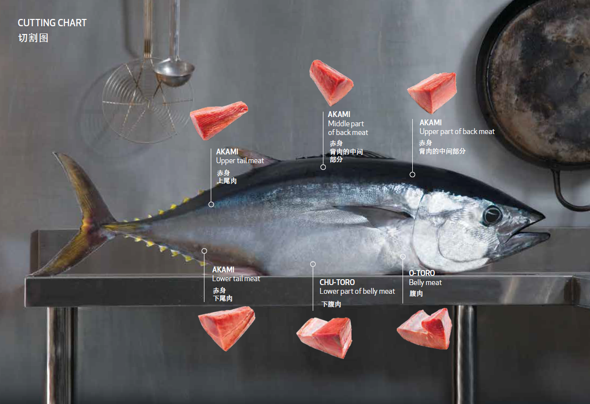 Fresh sashimi grade Southern Bluefin Tuna Belly Loin (skin-off)